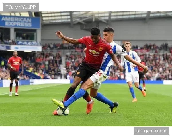 海鸥军团新赛季剑指冠军，强势表现引关注