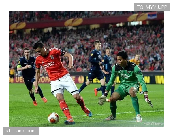 本菲卡阵容深度解析：新赛季竞争力显著增强