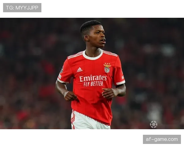 本菲卡球队最新消息与近期表现情况